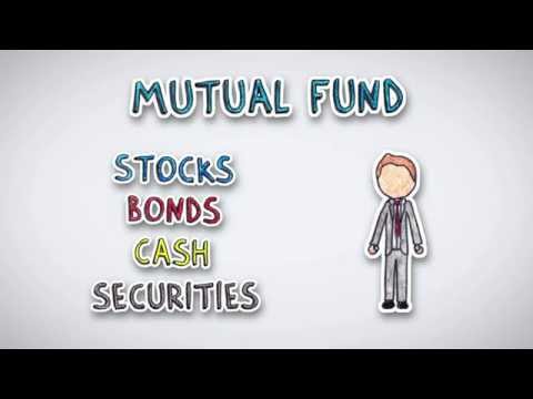 What is a Mutual Fund | by Wall Street Survivor