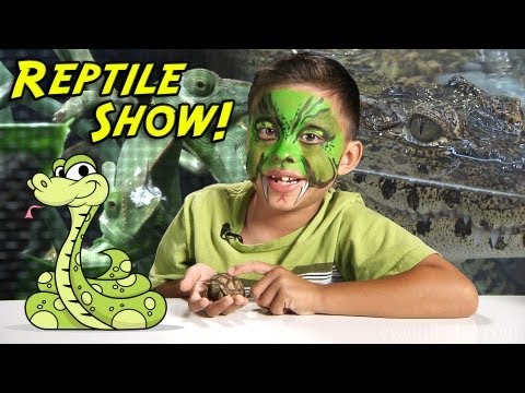 2013 REPTILE SHOW! Snakes, Lizards, Turtles, Tarantulas and MORE!