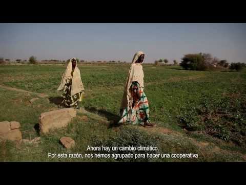 Sahel 2012. Mauritania - Intermón Oxfam