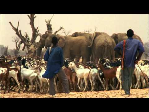 Love in the Sahel Part 1.mpg