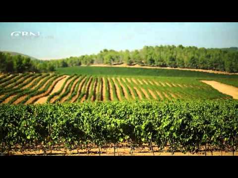 Made in Israel: Agriculture