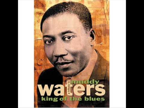 Muddy Waters - Rock Me (with lyrics)