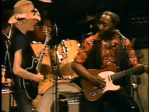 Muddy Waters - Live At The Chicago Fest 1981