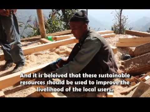 Uniterra's Role in Sustainable Forest Management in Nepal