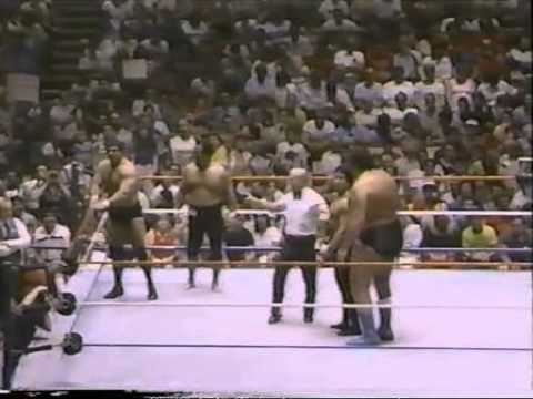 Ricky Steamboat & Andre The Giant vs. Magnificent Muraco & Mr.Fuji