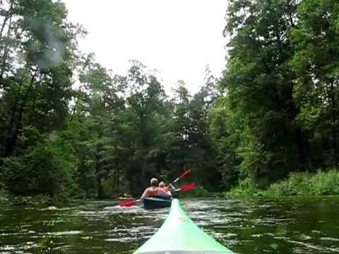 Canoeing, the Rospuda river, North East Poland