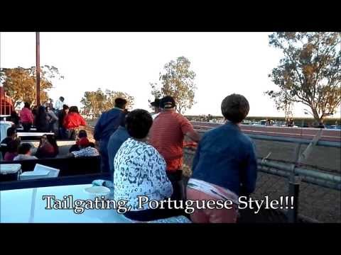 Running of the Bulls - Portuguese-American Style