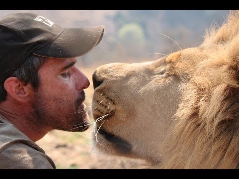 Living with Lions - The Lion Whisperer: Kevin Richardson