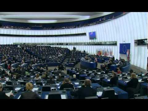 Presentation of The European Parliament