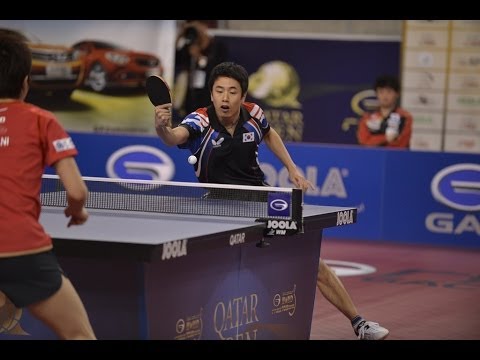 Qatar Open 2014 Highlights: Jun Mizutani vs Joo Se Hyuk