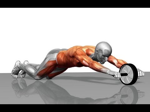 Ab Wheel Rollout Tutorial