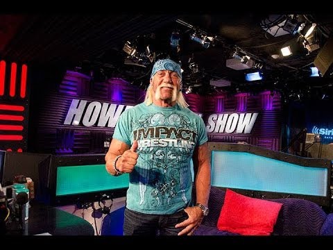 Howard Stern Hulk Hogan Interview 2013