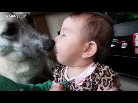 BABY LOVES DOG- April 14, 2013 ItsJudysLife Daily Vlog