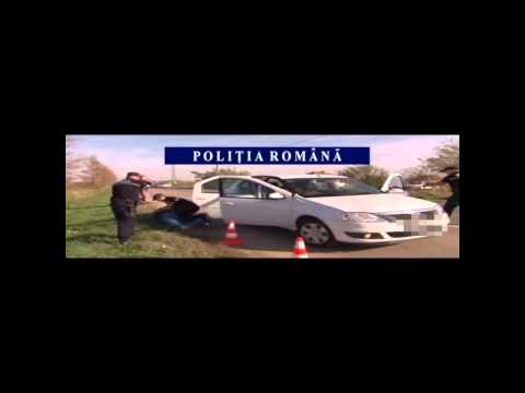 Poliţiştii din Timiş şi colegii lor din Serbia