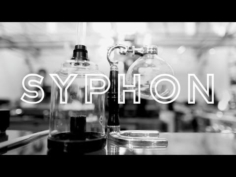 Syphon, Intelligentsia