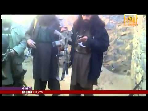 Afghan Taliban capture US military dog BBC News