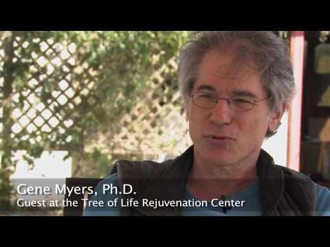 Dr. Gabriel Cousens' Reverse Diabetes Program - Tree of Life Rejuvenation Center