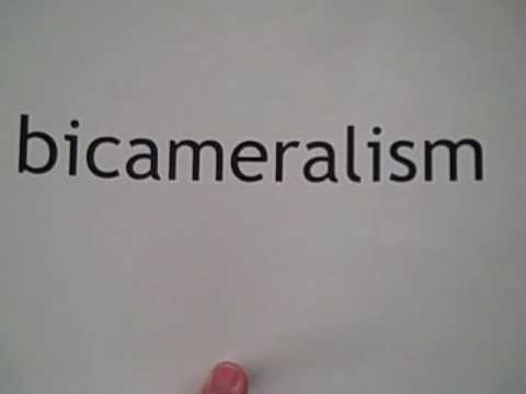 Bicameralism