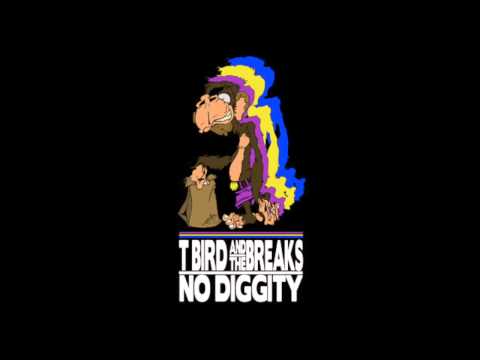 T Bird and the Breaks No Diggity Cover