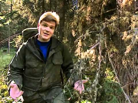 Ray Mears'  Extreme Survival S02E02 - The Rocky Mountains