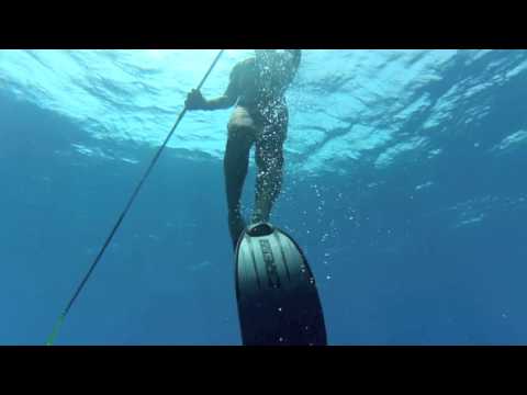 Spearfishing In The Bahamas July/August 2013 HD