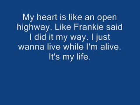 Bon Jovi - It's my life w/ lyrics