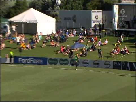 Cricket, Incredible catch assist on boundary.