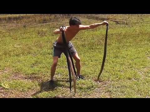 Catching Wild Rabbits using Snakes: BAREHANDED Rabbit Catch