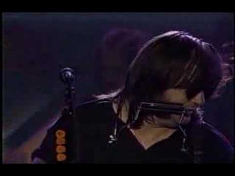 Steve Earle - I Feel Alright (MTV Live)