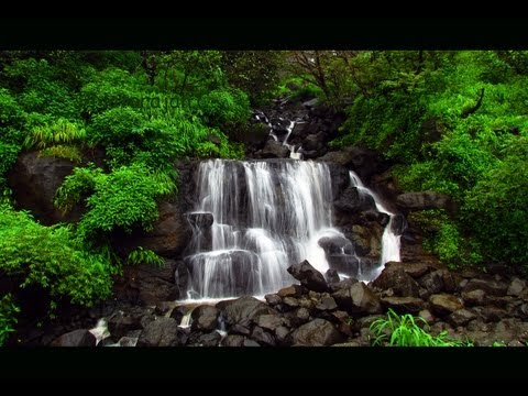 Monsoon Magic : Western Ghats..