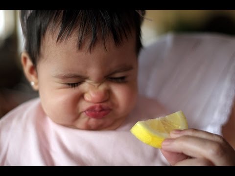 Babies Eating Lemons for First Time Compilation 2013 [HD]