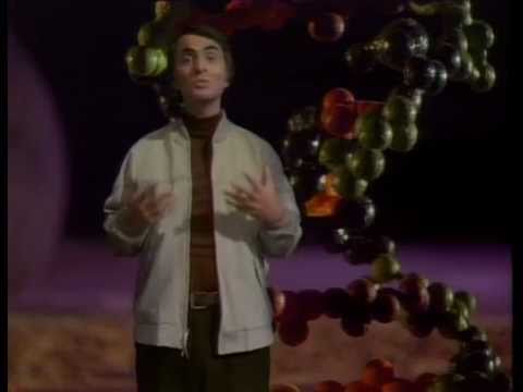 Cosmos: A Personal Voyage - Episode 2 (Carl Sagan)