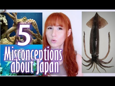 5 Misconceptions about Japan　日本に対する５つの誤解【日英字幕】