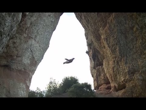 Unbelievable Wingsuit Cave Flight! Batman Cave, Alexander Polli