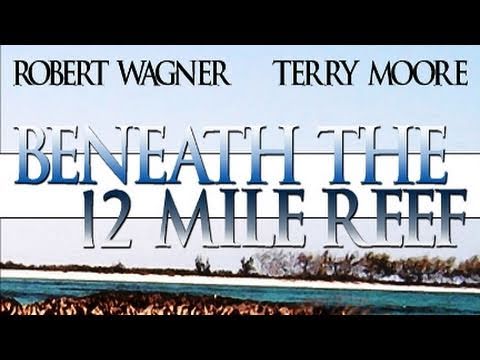 Beneath the 12 Mile Reef