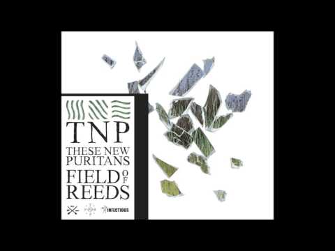 These New Puritans - Fragment 2