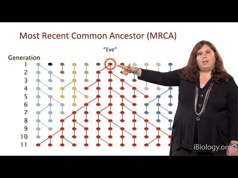 Sarah Tishkoff (U. Pennsylvania) Part 1: African Genomics: Human Evolution