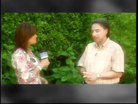 Armenians in Egypt Interview