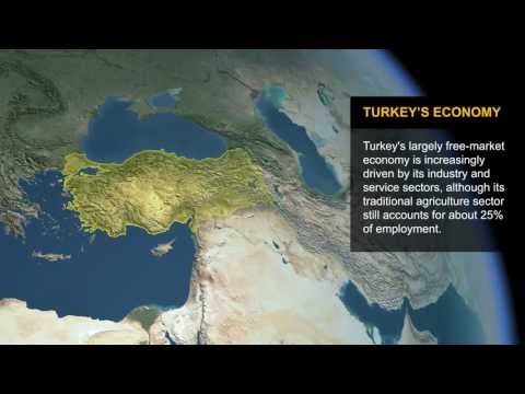 CIA World Factbook: Turkey's Economy