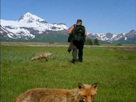 Grizzly Man (2005) - Werner Herzog - Trailer