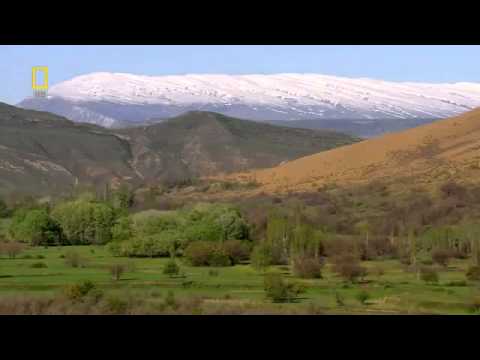 Дикая природа России, Кавказ   Wild Russia, Caucasus HD 720p)