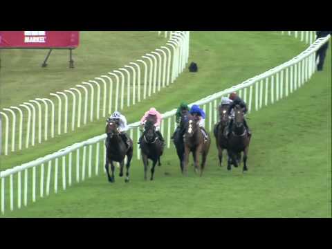 2013 Qipco Sussex Stakes - Toronado