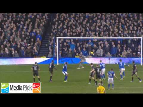 Everton 2012/13 Season Goals + Highlights