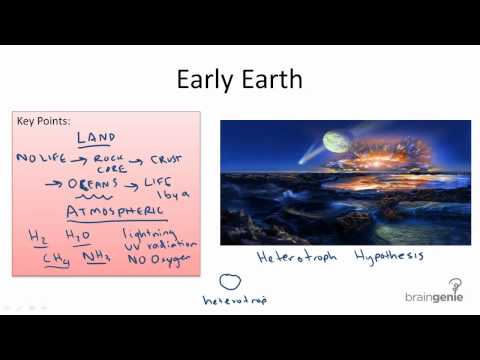 11.1.1 Early Earth and Heterotroph Hypothesis