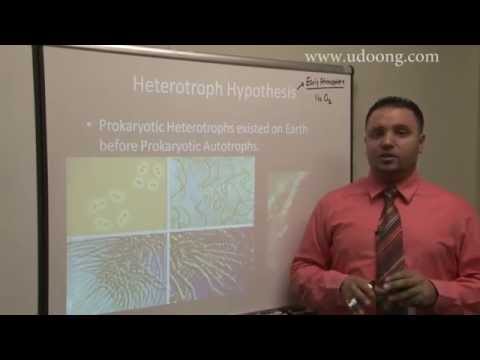 SAT2 Biology.. Heterotroph Hypothesis