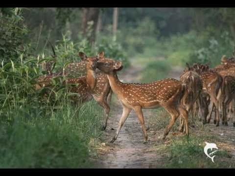 Uttar Pradesh, India