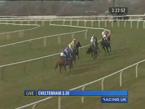 2010 Seasons Holidays Queen Mother Champion Chase