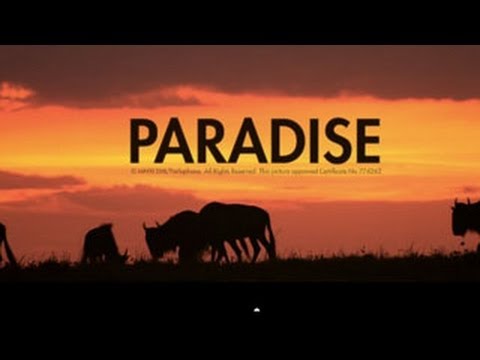 Coldplay - Paradise