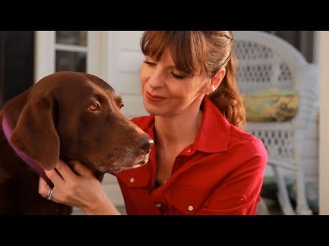 Dog Training With Positive Reinforcement | Teacher's Pet With Victoria Stilwell