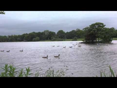 Tarnfield Park, Yeadon, Leeds, UK - 14th June, 2012 (720 HD)